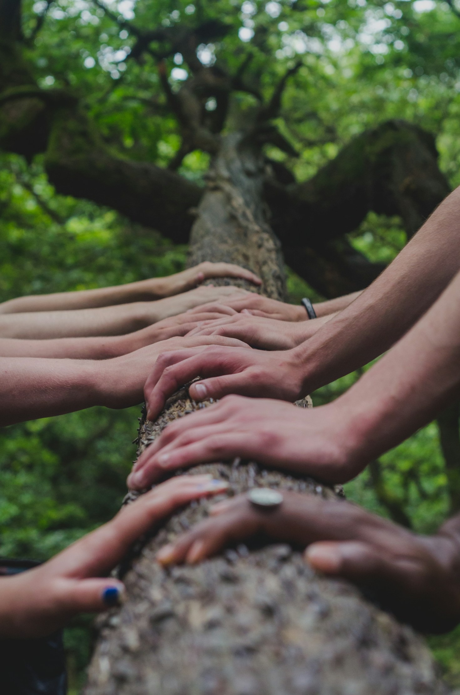 Creating Safe Spaces for Open and Honest Dialogue